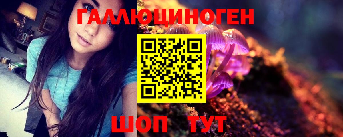 Набережные Челны  Галлюциногенные грибы ЛСД  Галлюциногенные грибы Psilocybe  Вход с VPN 